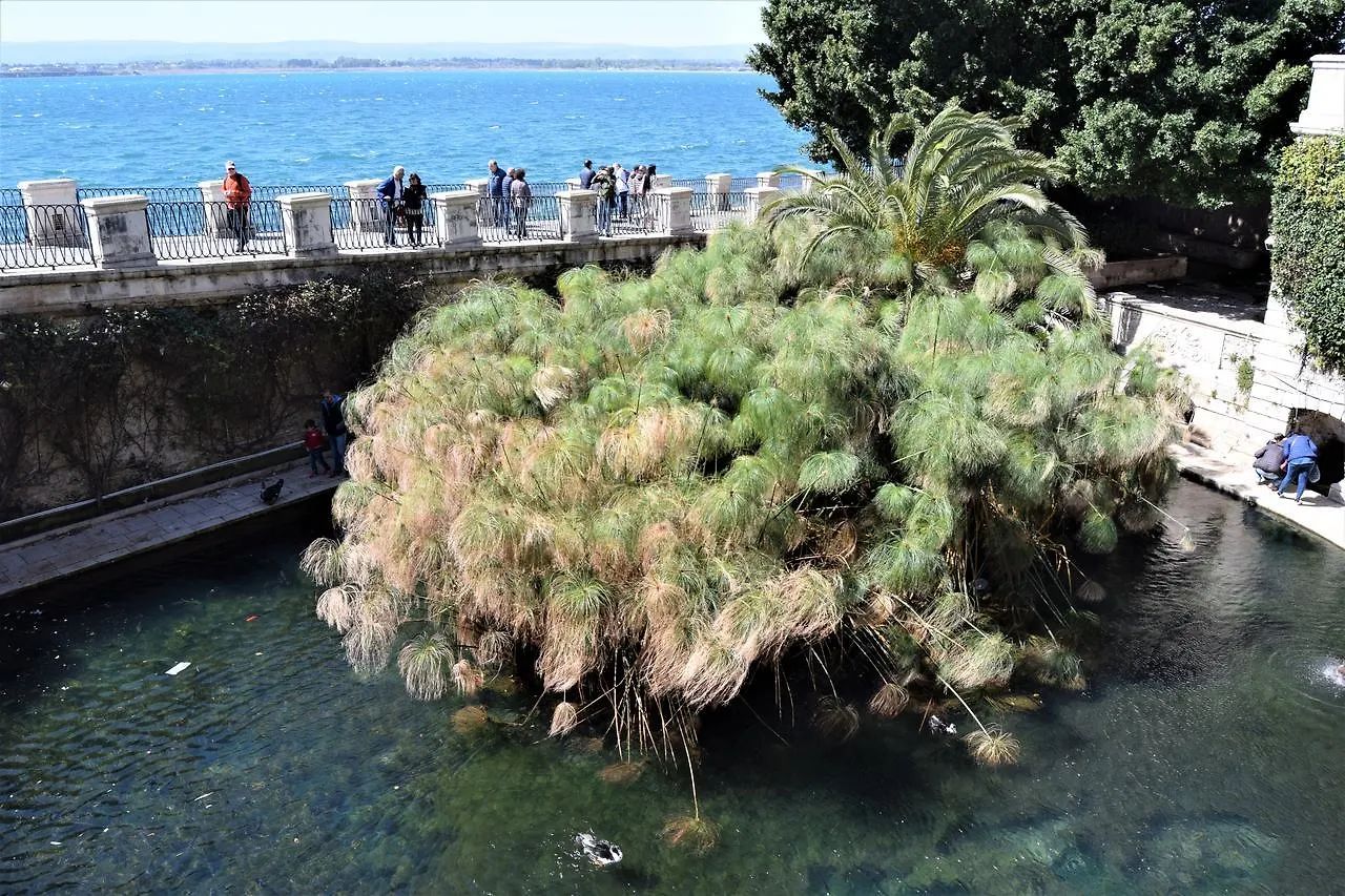 Il Moro Holiday Home Syracuse Italy